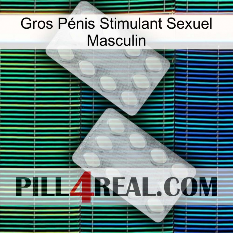 Gros Pénis Stimulant Sexuel Masculin 17